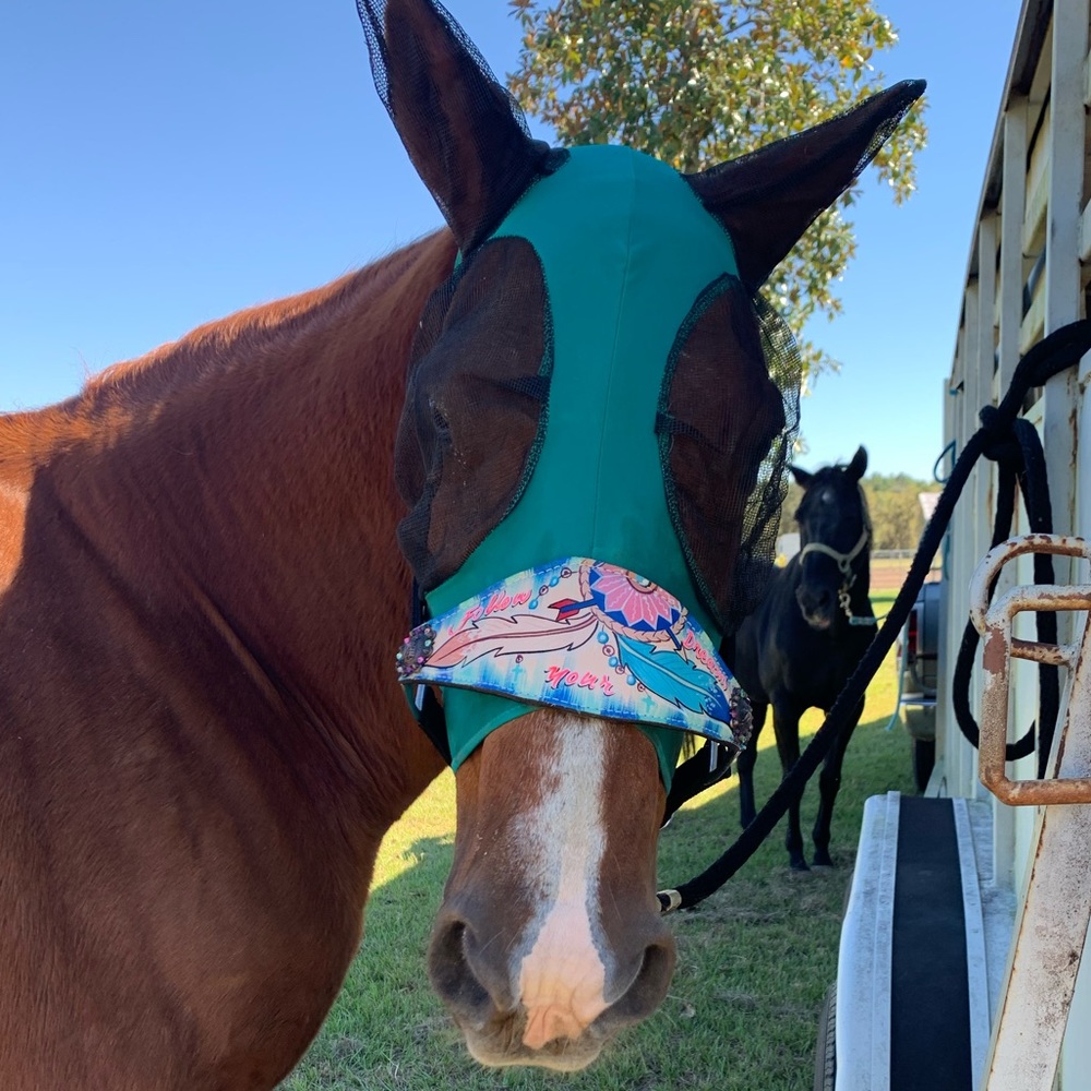 Meet your Posher, Taylor